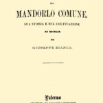 Copertina Bianca