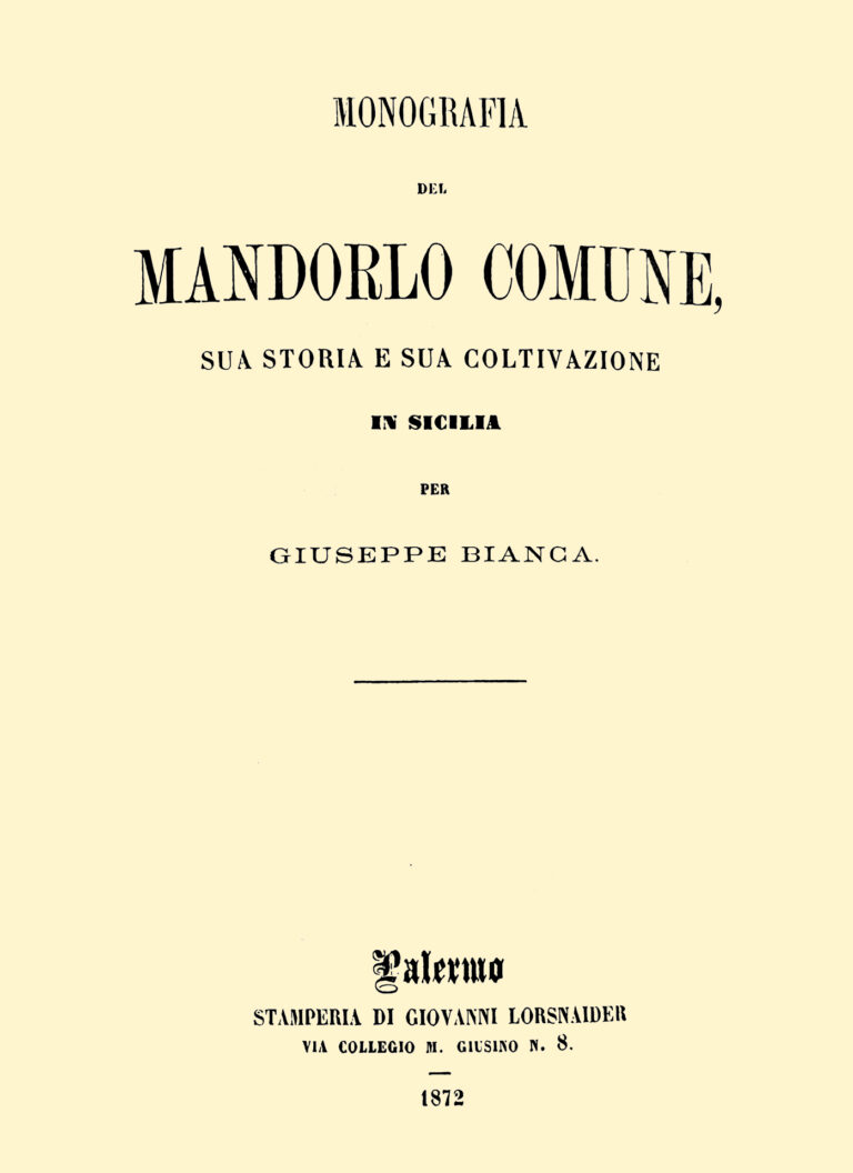 Copertina Bianca