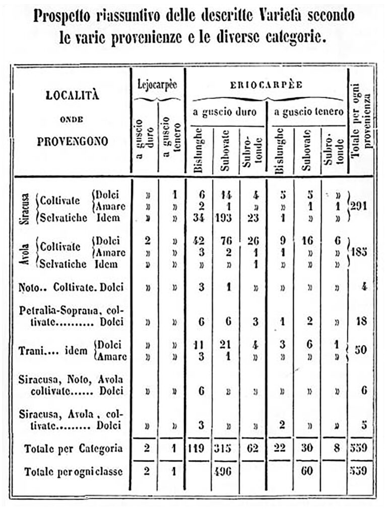 Prospetto mandorla