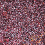 Pomace